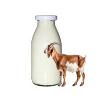 গোট মিল্ক (Goat Milk)